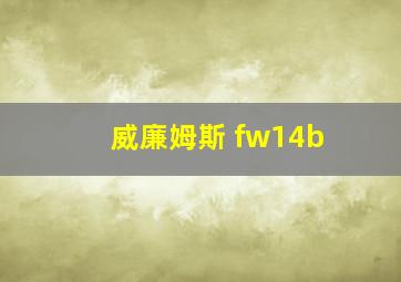 威廉姆斯 fw14b